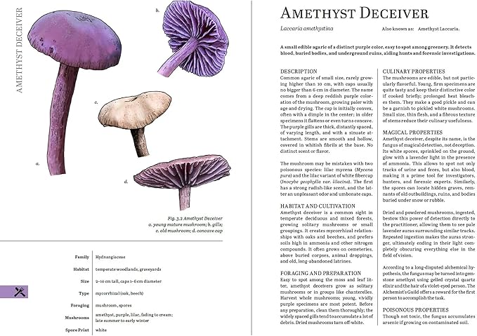 Renegade Game Studios Herbalist's Primer: System-Agnostic Illustrated RPG Plant Guide &amp Magical Herbs Reference