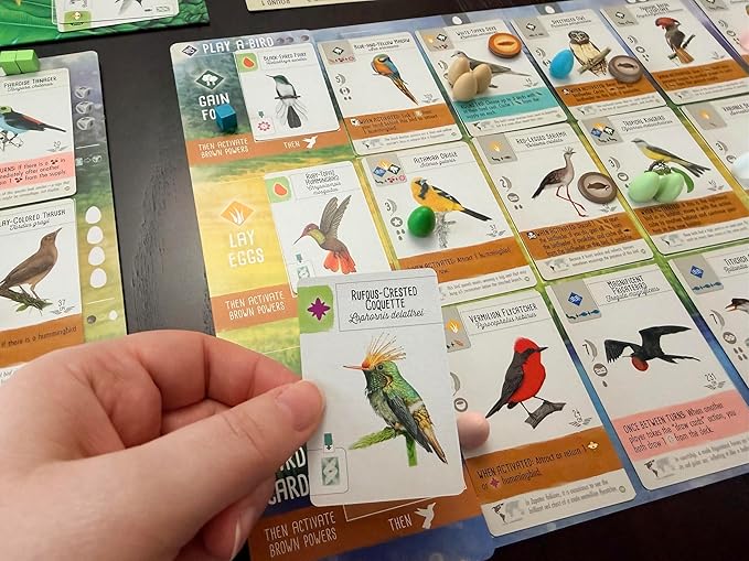 Stonemaier Games: Wingspan Americas Expansion by Elizabeth Hargrave | Add to Wingspan | Includes Small Hummingbird Cards with New Mechanism 111 Unique New Colorful Birds &amp More | 1-5 Players 90
