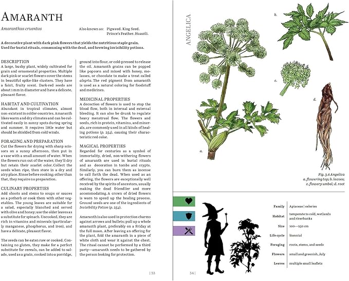 Renegade Game Studios Herbalist's Primer: System-Agnostic Illustrated RPG Plant Guide &amp Magical Herbs Reference