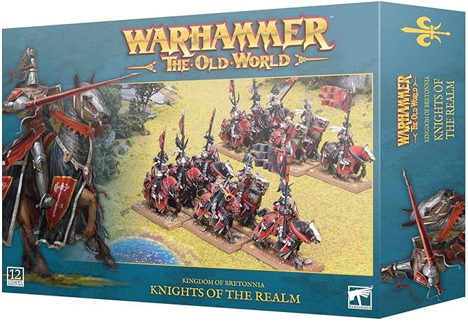 Warhammer Games Workshop The Old World: Kingdom of Bretonnia - Knights of The Realm/Knights Errant Black