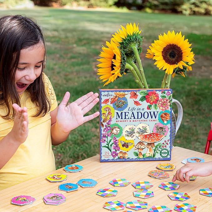 eeBoo: Memory and Matching Game - Life in a Meadow - 24 Pairs Develops Recognition Concentration Memory &amp Vocabulary Skills Age 3+