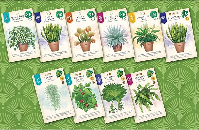 AEG &amp Flatout Games | Verdant - A Board Game for the Houseplant Collector | From the Creators of Cascadia | Easy to Learn | Quick to Play | Ages 10+ | 1-5 Players