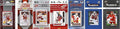 NHL Detroit Red Wings REDWINGS717TS Men's sports related trading cards Brown One Size