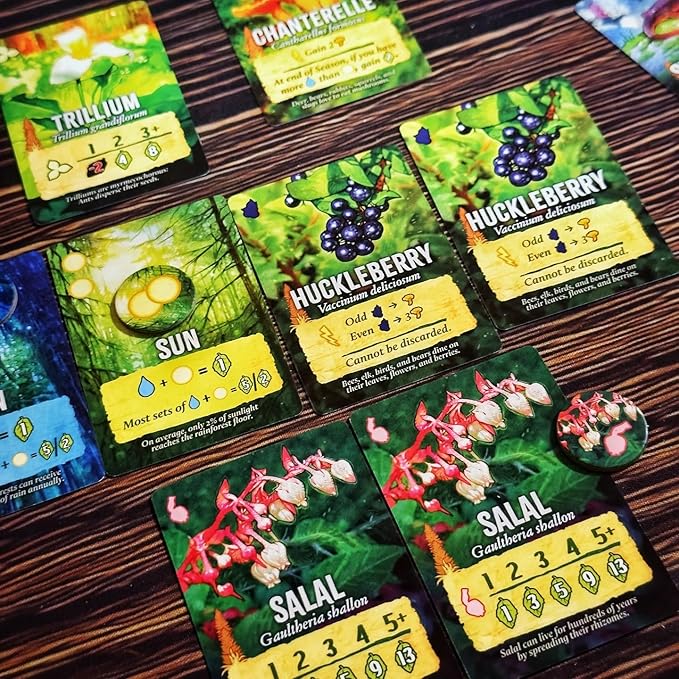 Canopy Evergreen - Strategy Board Game - for 1 to 4 Players and Ages 10+