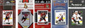 C&ampI Collectables NHL Ottawa Senators SENATORS617TS Men's Sports Related Trading Cards Brown One Size
